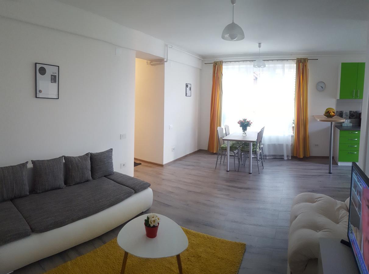 Apartament Schiller 58 Braşov Dış mekan fotoğraf