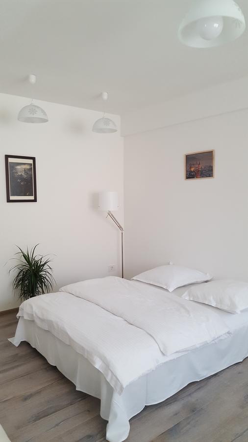 Apartament Schiller 58 Braşov Dış mekan fotoğraf