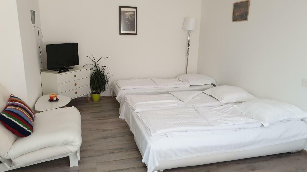 Apartament Schiller 58 Braşov Dış mekan fotoğraf